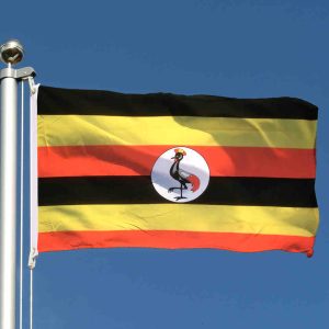 Ouganda: 18 journalistes battus par les forces de sécurité pendant une élection, dénonce RSF