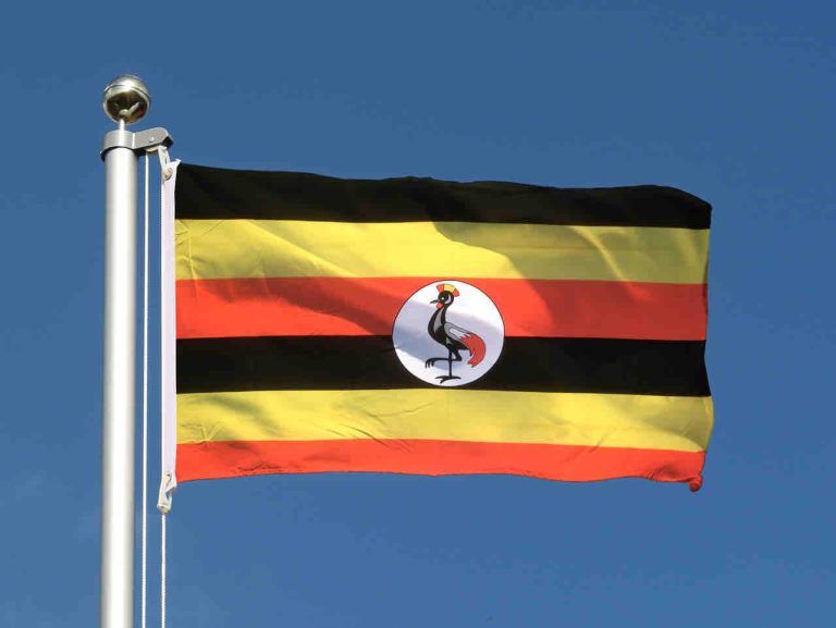 Ouganda: 18 journalistes battus par les forces de sécurité pendant une élection, dénonce RSF