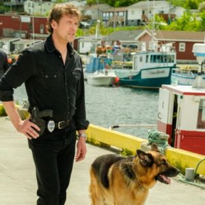 France 3 : retour en baisse pour la série «Hudson et Rex» dimanche soir  