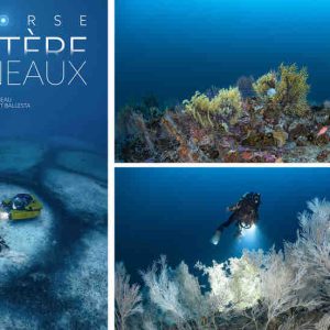 ARTE : le biologiste et photographe sous-marin Laurent Ballesta de retour avec le documentaire «Cap Corse - Le mystère des anneaux», samedi 3 mai à 20h55