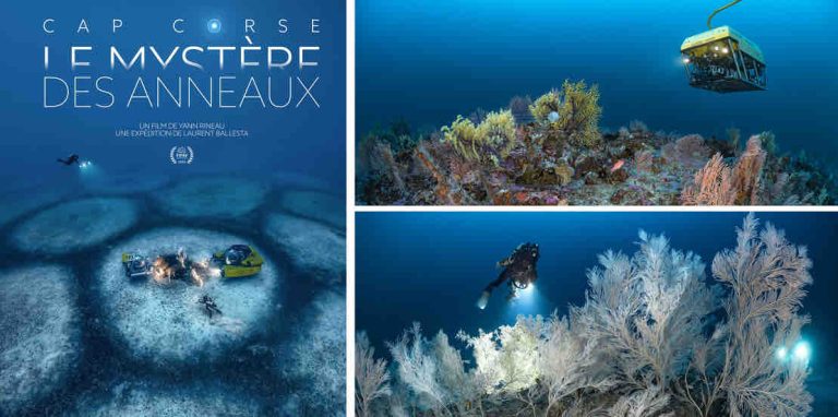 ARTE : le biologiste et photographe sous-marin Laurent Ballesta de retour avec le documentaire «Cap Corse – Le mystère des anneaux», samedi 3 mai à 20h55
