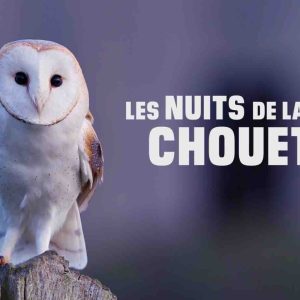BFMTV / «Les nuits de la chouette»: dispositif spécial en partenariat avec la Ligue pour la Protection des Oiseaux 