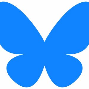 Bluesky, rival de X, met en place une icône bleue pour symboliser les comptes certifiés