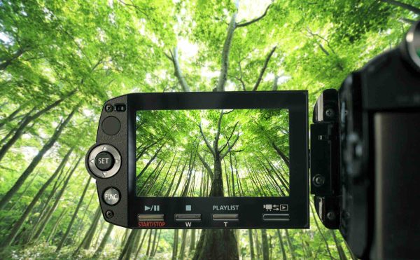 Comment le cinéma, la télévision et le streaming abordent-ils la transition verte ?