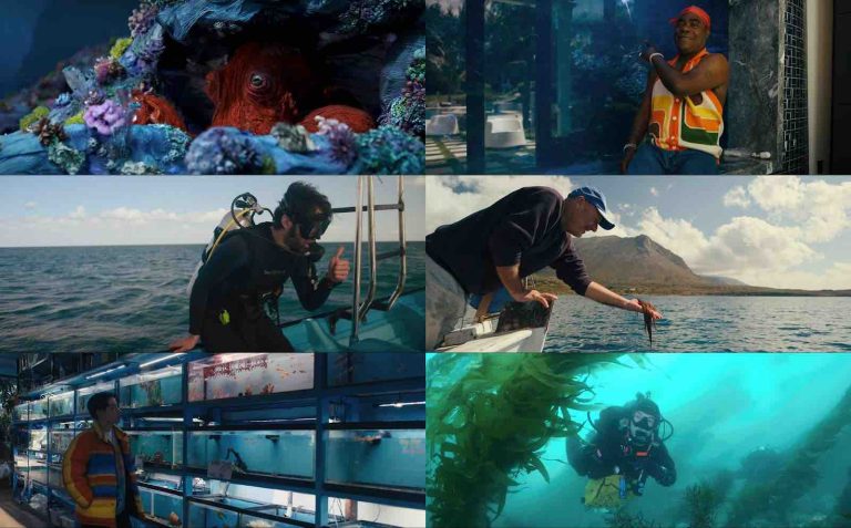 Prime Video : le docu «Octopus!» dès le 8 mai