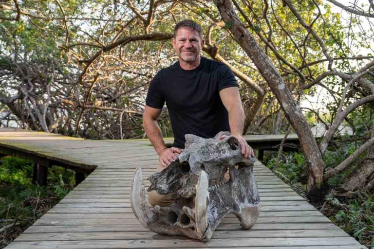 USHUAÏA TV : la série inédite «À la rencontre des hippopotames avec Steve Backshall» vendredi 16 mai