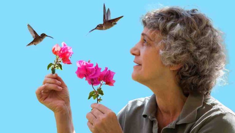 USHUAÏA TV : l’inédit «Terry Masear : la part du colibri» samedi 26 avril à 20h50 