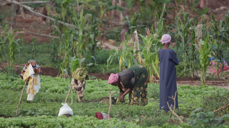 13PRODS/ France Télévisions : «Mayotte, les combattantes» mardi 27 mai à 19h50 sur Mayotte, La 1ère
