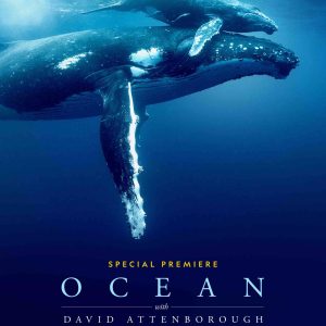 David Attenborough: son nouveau film «Ocean» sortira jeudi, le jour de ses 99 ans