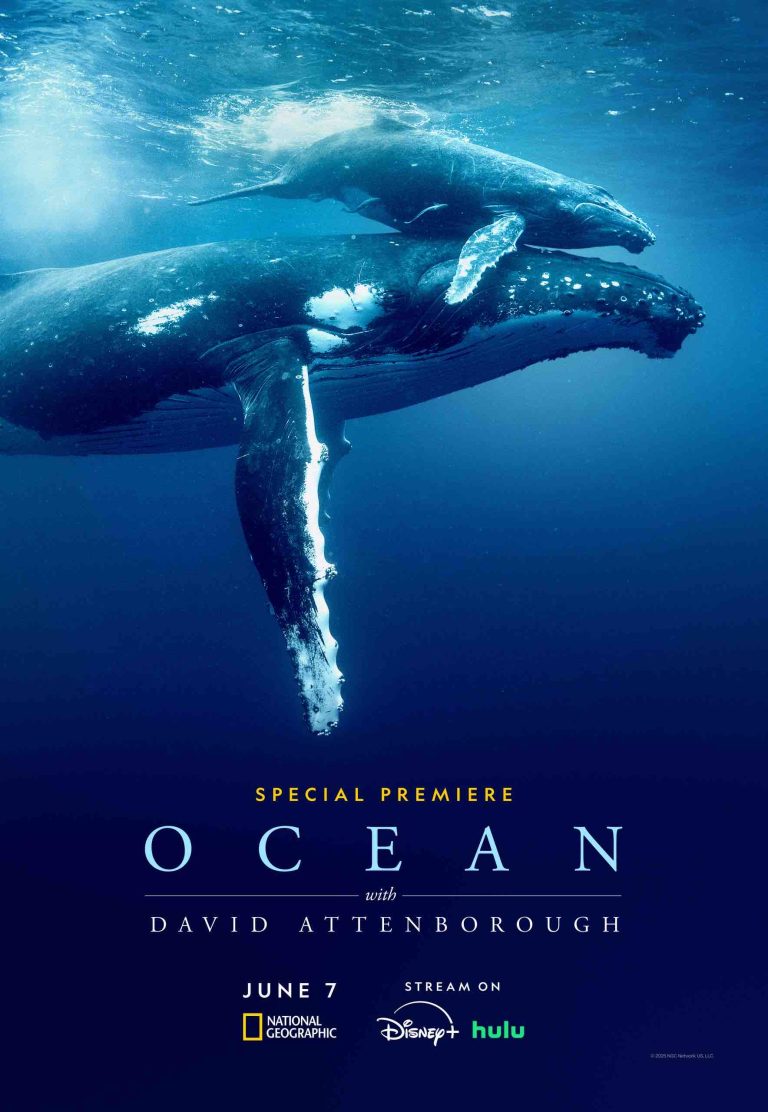 David Attenborough: son nouveau film «Ocean» sortira jeudi, le jour de ses 99 ans
