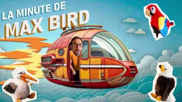 France TV: «La minute de Max Bird» le 14 mai en intégralité sur Okoo