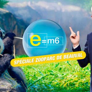 M6 : «E=M6», émission spéciale zooparc de Beauval ce 25 mai