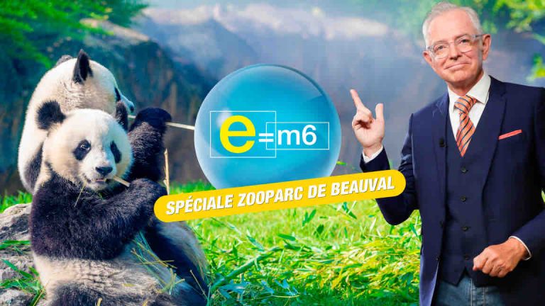 M6 : «E=M6», émission spéciale zooparc de Beauval ce 25 mai
