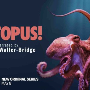Prime Video dévoile la bande-annonce de la série docu «Octopus!»