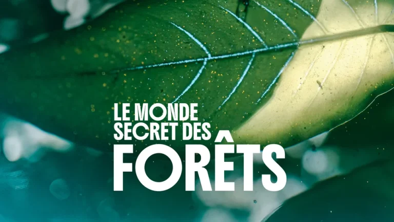 France 5 : «Le monde secret des forêts», leader du Prime TNT lundi 