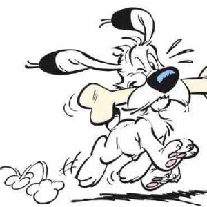 Éditions Albert René: Idéfix fête son 60ème anniversaire !