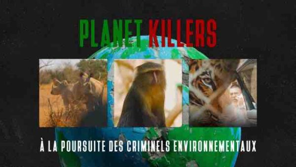 France Télévisions: nouvelle saison de «Planet Killers» dès ce mercredi 4 juin sur Slash