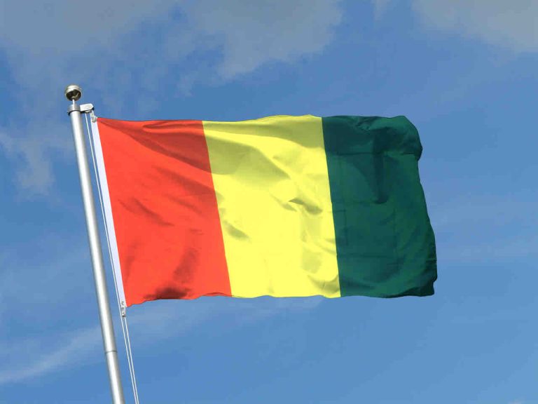 Guinée : journalistes et organisations de défense de la liberté de la presse appellent la junte au pouvoir à «faire la lumière» sur le sort d’un journaliste disparu depuis 6 mois