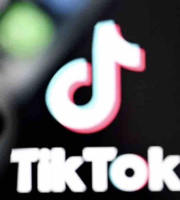 TikTok face à l’Assemblée : les représentant défendent le fonctionnement du réseau social