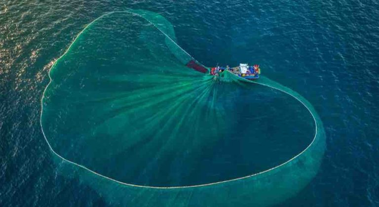 USHUAÏA TV : l’inédit «Au nom de la mer, vers une pêche durable ?» dimanche 8 juin à 20h50