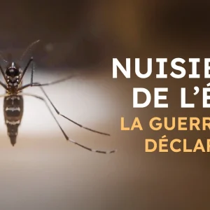 France 5 : «Nuisibles de l’été», leader du Prime