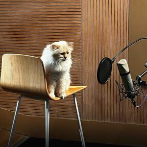 Paramount Animation: Choupette double Azraël pour le film «Les Schtroumpfs»