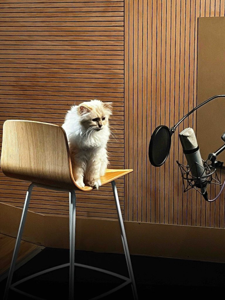 Paramount Animation: Choupette double Azraël pour le film «Les Schtroumpfs»