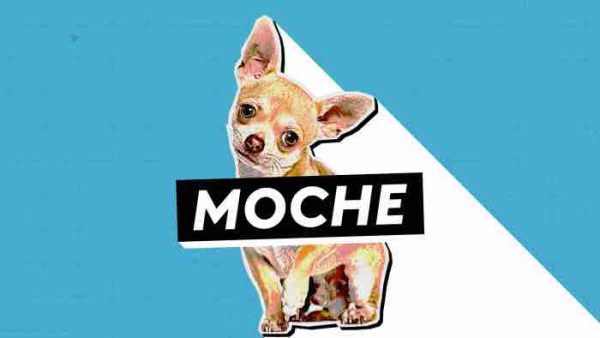 France Télévisions : la série «Moche» débarque sur France 3 Paris Ile-de-France