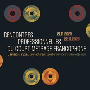 Le Festival Films courts de Dinan lance DINAN FILM PRO