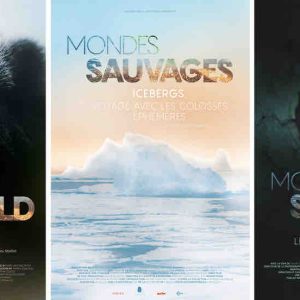 ARTE : «Mondes sauvages», une nouvelle collection documentaire inspirée de la collection éponyme d’Actes Sud dès le 3 novembre 2025