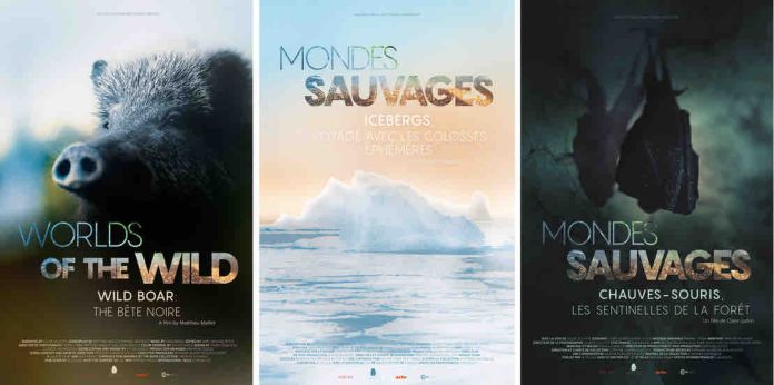 ARTE - «Mondes sauvages», une nouvelle collection documentaire inspirée de la collection éponyme d’Actes Sud dès le 3 novembre 2025