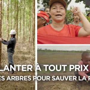 Arte : 493.000 curieux devant le documentaire «Planter à tout prix» mardi