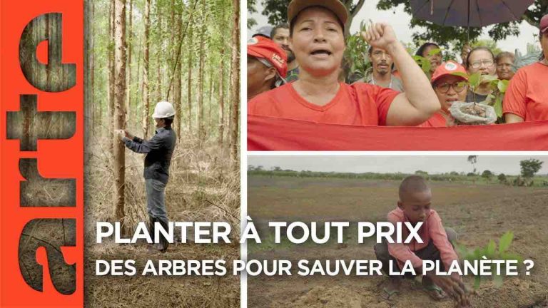 Arte : 493.000 curieux devant le documentaire «Planter à tout prix» mardi