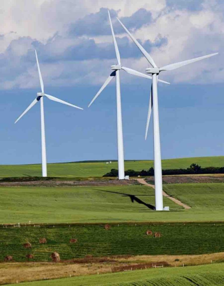 Trois ONG, Data For Good, QuotaClimat et Science Feedback épinglent plusieurs médias audiovisuels pour «désinformation climatique»