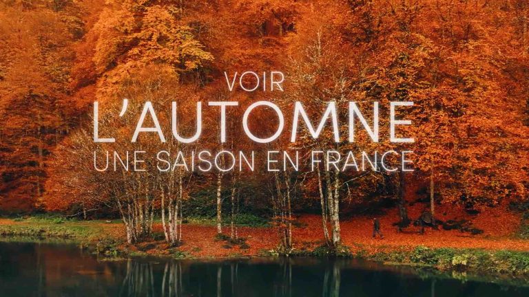 France 2 : petit score pour le documentaire «Voir l’automne : une saison en France» mardi
