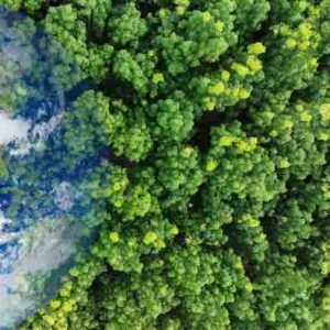 France Télévisions: mobilisation du pôle Outre-mer à l’occasion de la COP30 du 10 au 21 novembre 2025