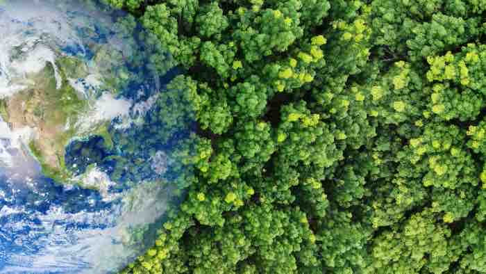 France Télévisions: mobilisation du pôle Outre-mer à l’occasion de la COP30 du 10 au 21 novembre 2025