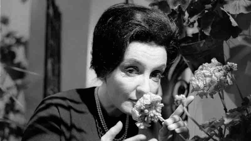 Melody TV : «Gloria LASSO, étrangère au paradis : 20 ans déjà !» du 29 novembre au 5 décembre