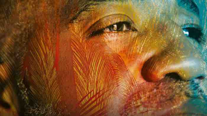 France Télévisions : «Demain», le Festival international du film documentaire Outre-mer, du 10 au 14 décembre au Forum des images