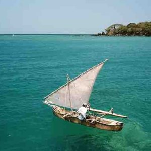 France Télévisions: mobilisation du pôle Outre-mer un an après Chido