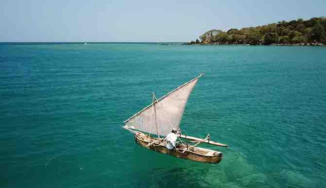 France Télévisions: mobilisation du pôle Outre-mer un an après Chido