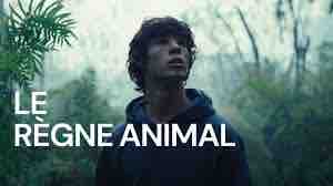 France 2 : «Le règne animal» frôle la barre des 2 millions dimanche