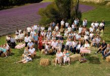 M6 : «L’amour est dans le pré : 20 ans» en baisse