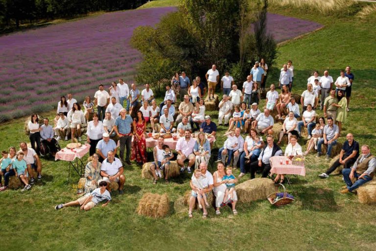 M6 : «L’amour est dans le pré : 20 ans» en baisse