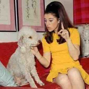 Melody TV fête les 50 ans de l’émission «30 millions d’amis» du samedi 3 au vendredi 9 janvier 2026