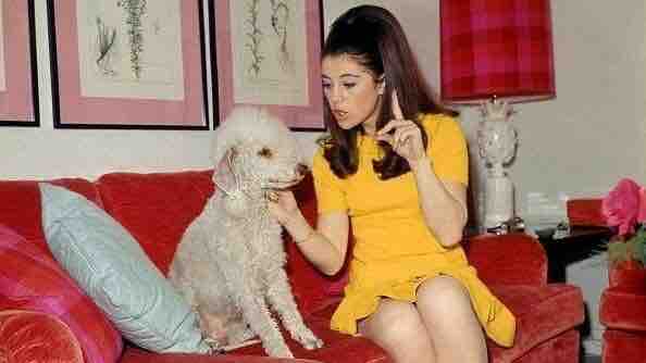 Melody TV fête les 50 ans de l’émission «30 millions d’amis» du samedi 3 au vendredi 9 janvier 2026