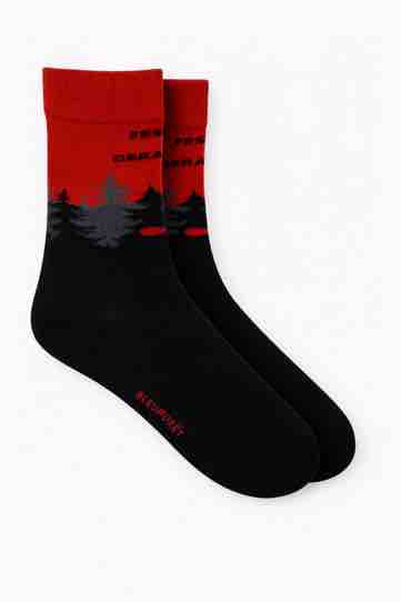 Bleuforêt, partenaire officiel du 33ème Festival International  du Film Fantastique de Gérardmer du 27 janvier au Ier février 2026