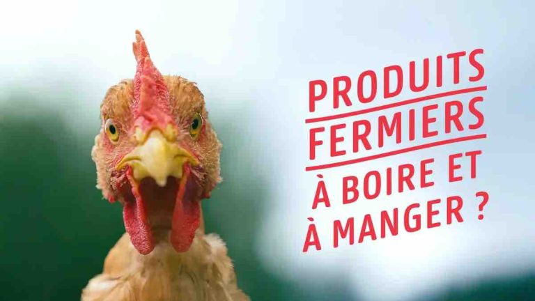 France 5 : le documentaire «Produits fermiers» leader du Prime TNT mardi