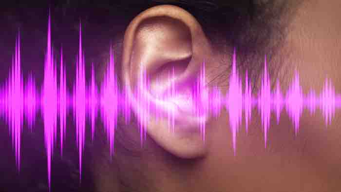 France Télévisions : la série documentaire inédite «Anatomie d’un son» sur La1ere.fr, sur france.tv et sur YouTube