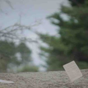 France Télévisions : le documentaire inédit «Le souffle du vent» sur ICI Bretagne et france.tv le jeudi 12 mars